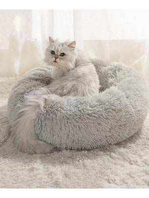 PETS ACCESORIES