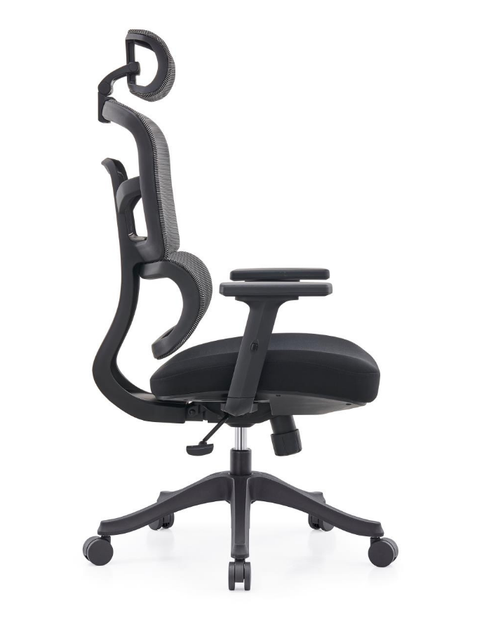 SpineX High-Back Executive Ergonomic Chair