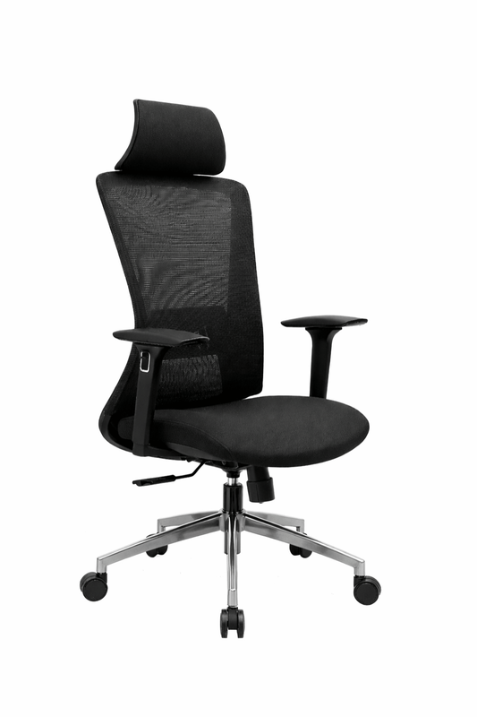 Syncro Ergonomic Mesh Chair