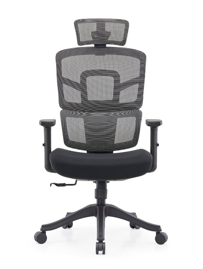 SpineX High-Back Executive Ergonomic Chair