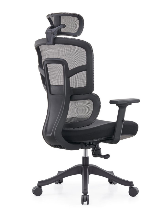 SpineX High-Back Executive Ergonomic Chair