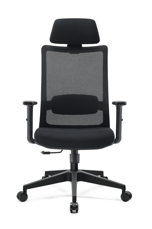 Axis High-Back Ergonomic Chair