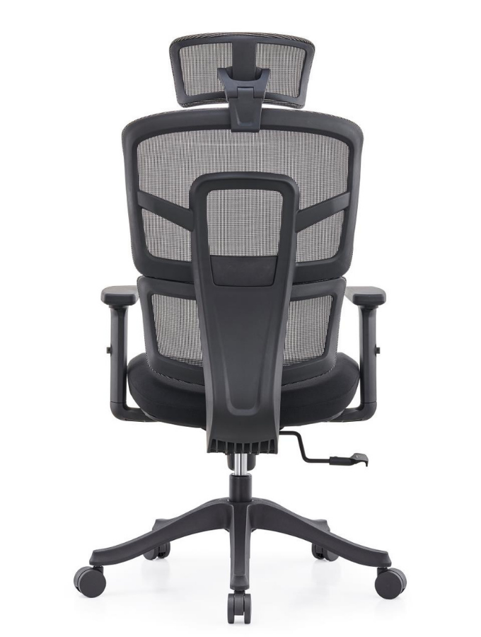 SpineX High-Back Executive Ergonomic Chair