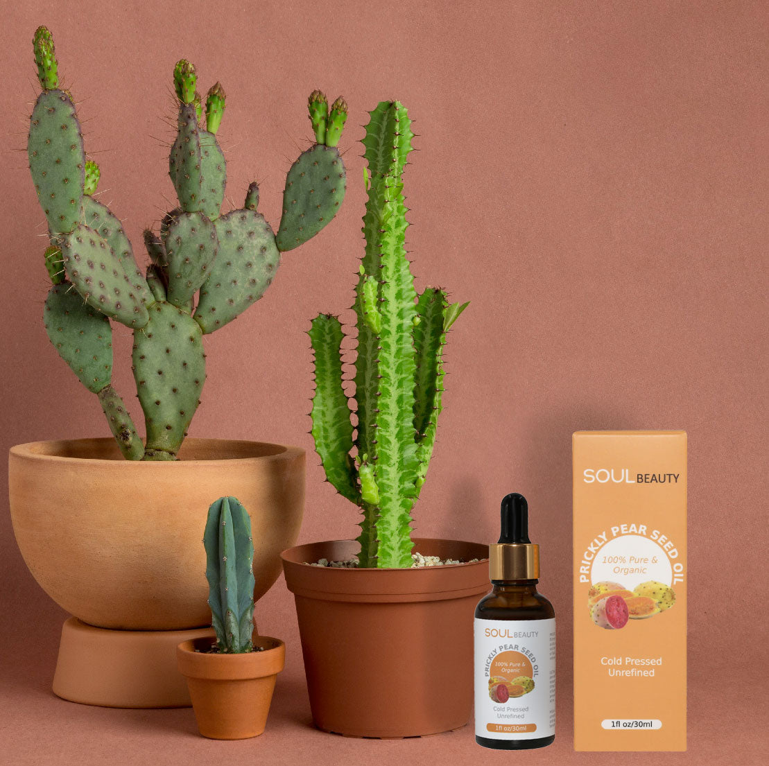 Rejuvenating Prickly Pear Cold Pressed Seed Oil
