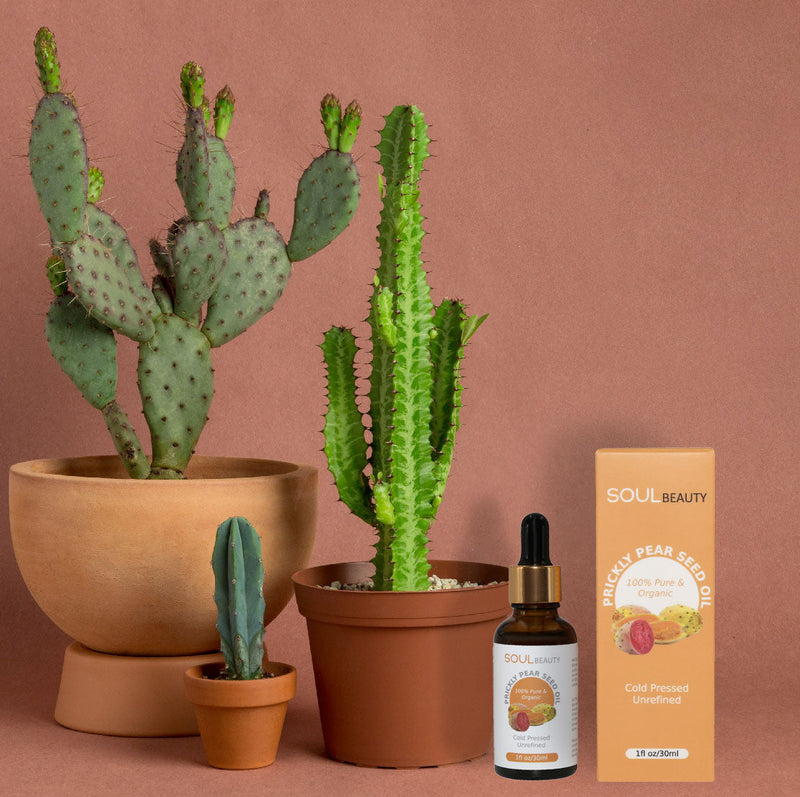 Rejuvenating Prickly Pear Cold Pressed Seed Oil