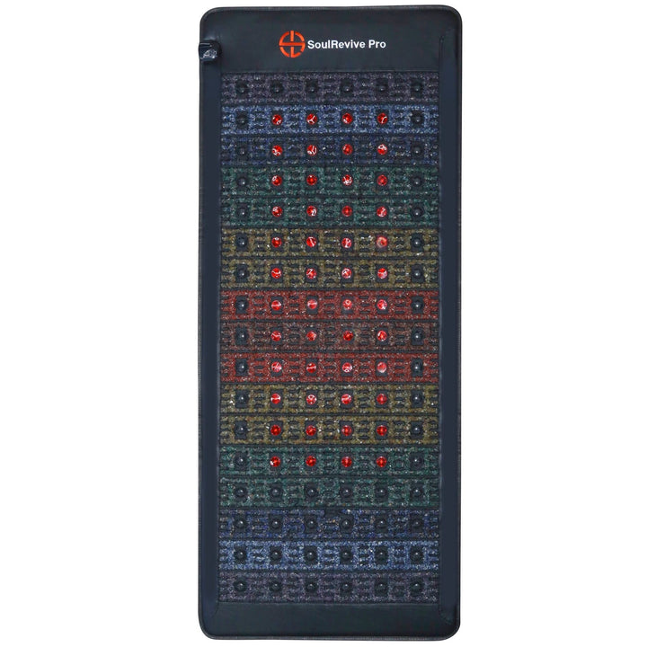 IMG_8292_720x.jpg?v=1733824251