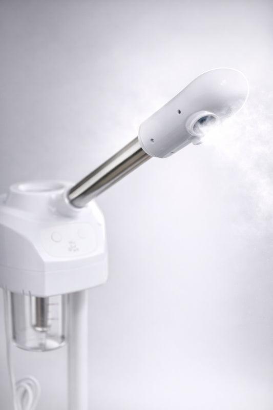 Professional Ionic Hot Facial Steamer