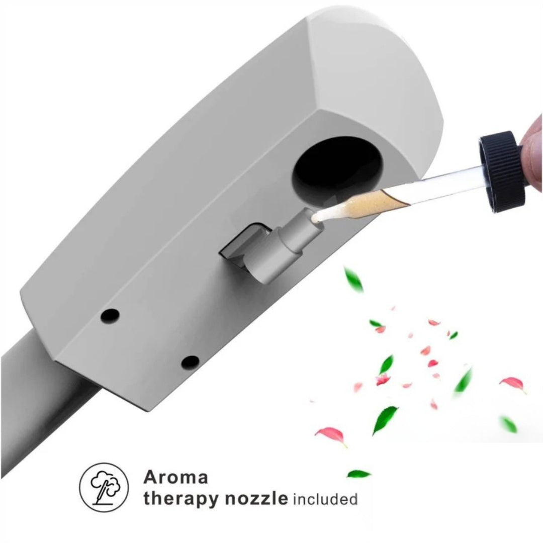 Professional Ionic Hot Facial Steamer