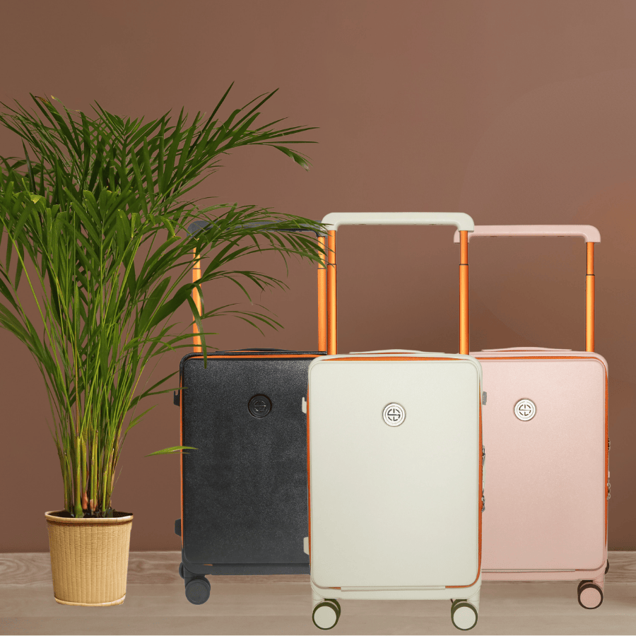 AuraCase Executive Suitcase with Waterproof Cover