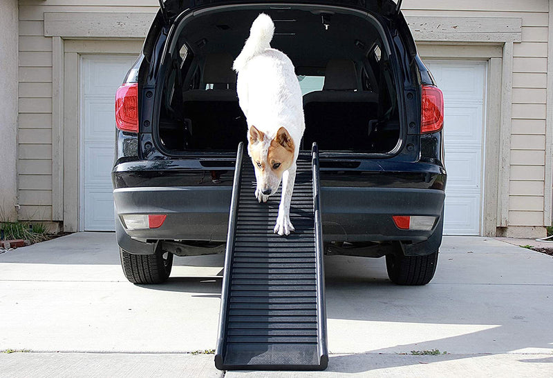 Portable Folding Pet Ramp