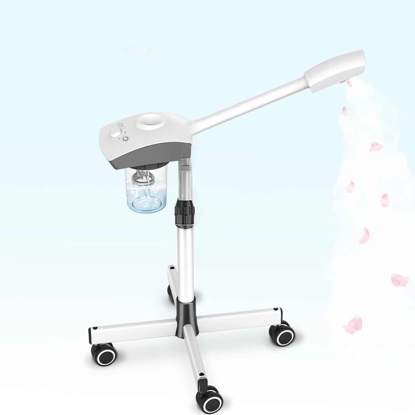 Salon Pro Facial Steamer