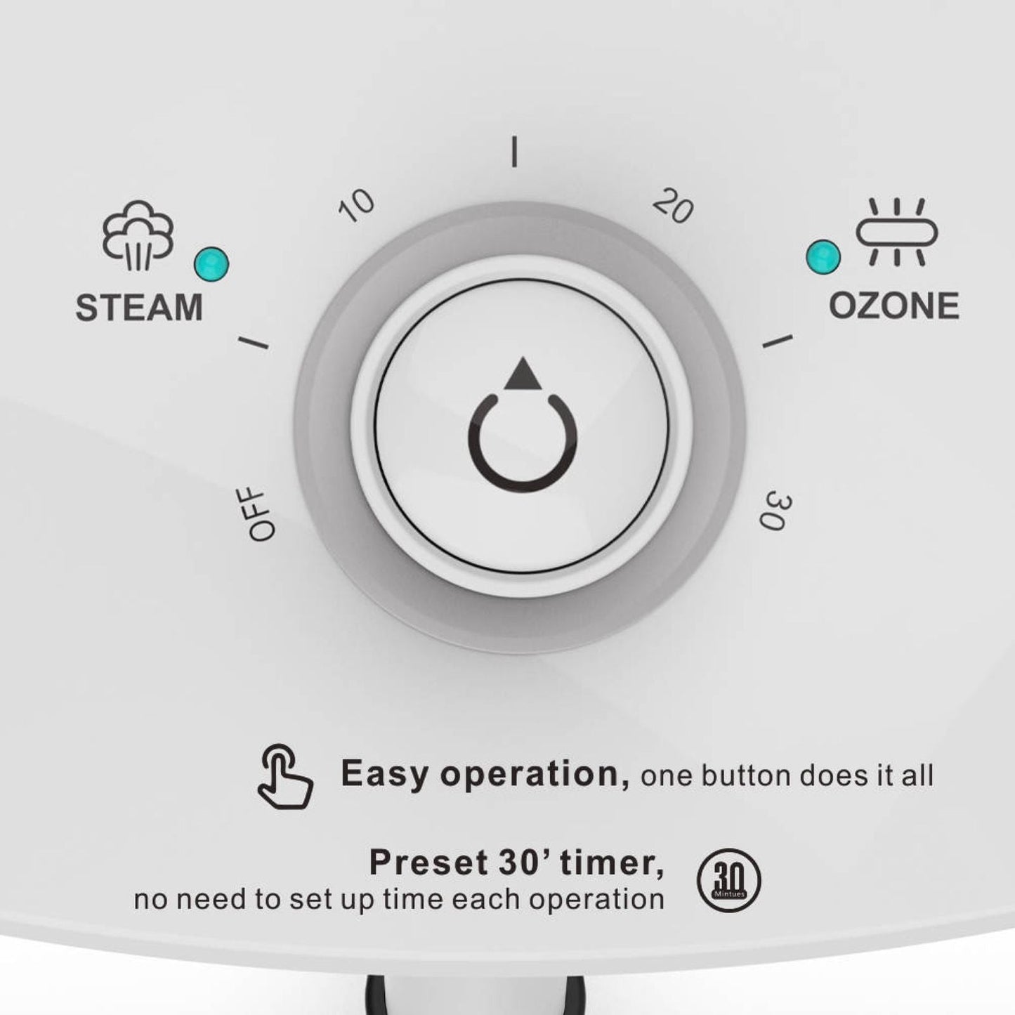 Salon Pro Facial Steamer