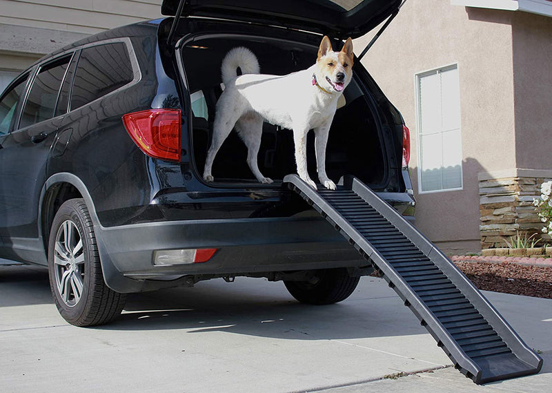 Portable Folding Pet Ramp